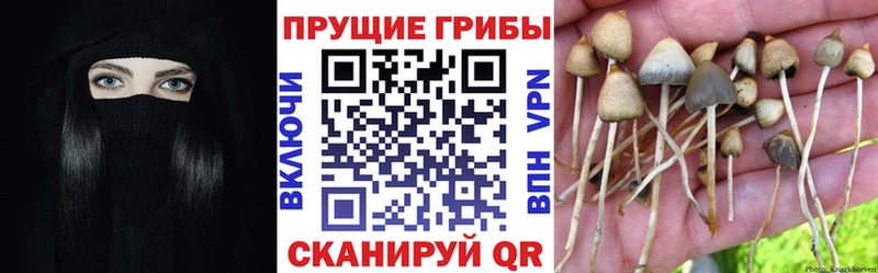 Псилоцибиновые грибы MAGIC MUSHROOMS Нея